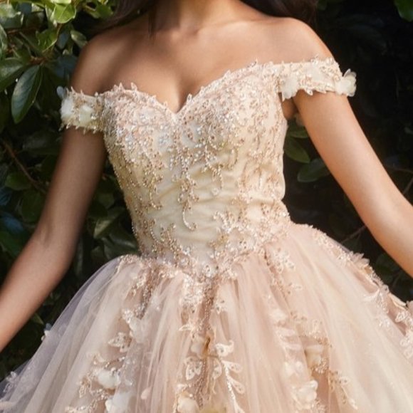 NEW CHUMPAGNE DRESS SWEETHEART NECKLINE LAYERED TULLE BALL GOWN PROM DRESSCD0185 - Picture 2 of 7